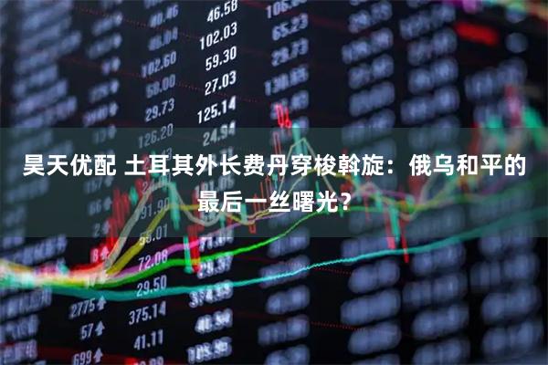 昊天优配 土耳其外长费丹穿梭斡旋：俄乌和平的最后一丝曙光？