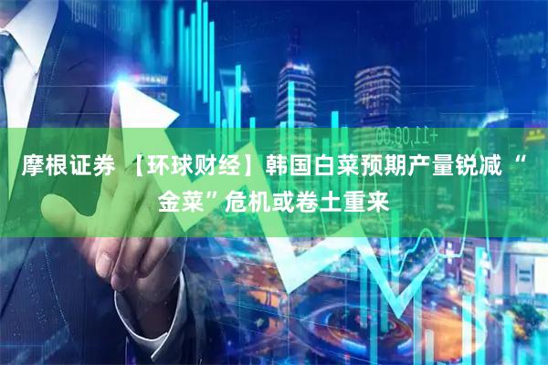 摩根证券 【环球财经】韩国白菜预期产量锐减 “金菜”危机或卷土重来