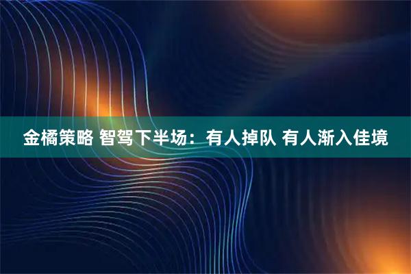 金橘策略 智驾下半场：有人掉队 有人渐入佳境