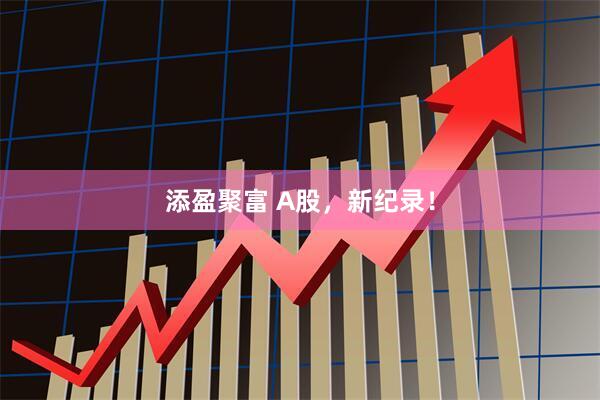 添盈聚富 A股，新纪录！