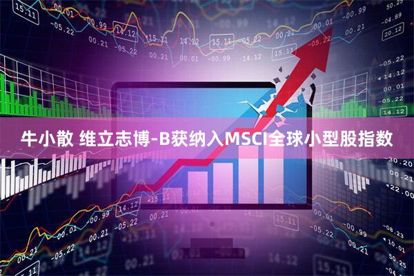 牛小散 维立志博-B获纳入MSCI全球小型股指数