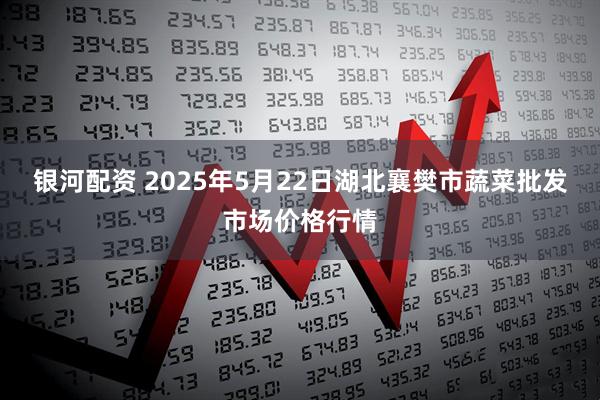 银河配资 2025年5月22日湖北襄樊市蔬菜批发市场价格行情