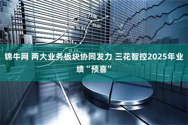 锦牛网 两大业务板块协同发力 三花智控2025年业绩“预喜”