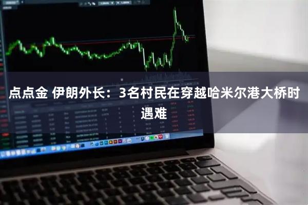 点点金 伊朗外长:3名村民在穿越哈米尔港大桥时遇难